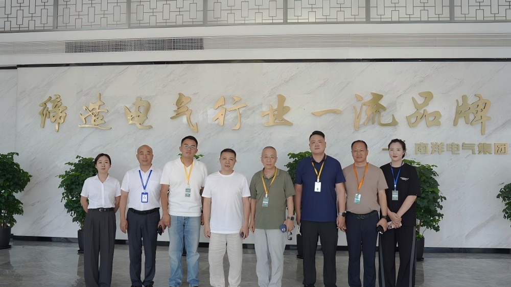 南洋电气集团与乐清新能源专家团共探技术赋能新路径